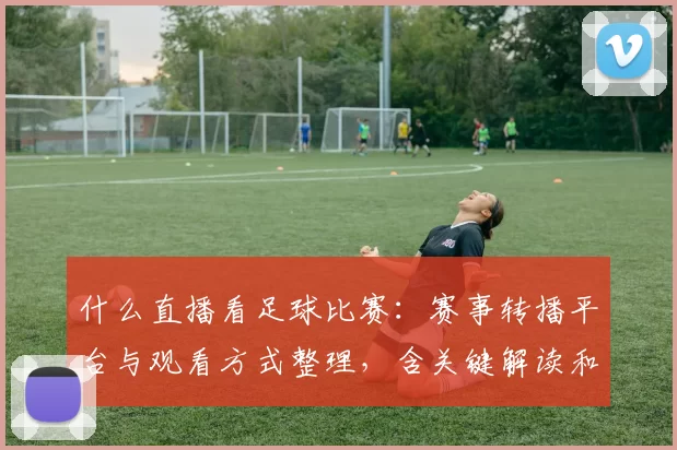 什么直播看足球比赛：赛事转播平台与观看方式整理，含关键解读和比分回看安排