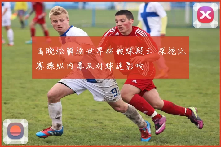 高晓松解读世界杯假球疑云 深挖比赛操纵内幕及对球迷影响