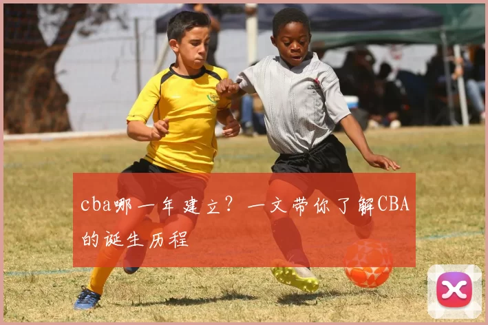cba哪一年建立？一文带你了解CBA的诞生历程